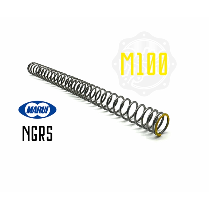 NGRS Spring SiCr with progressive winding M100